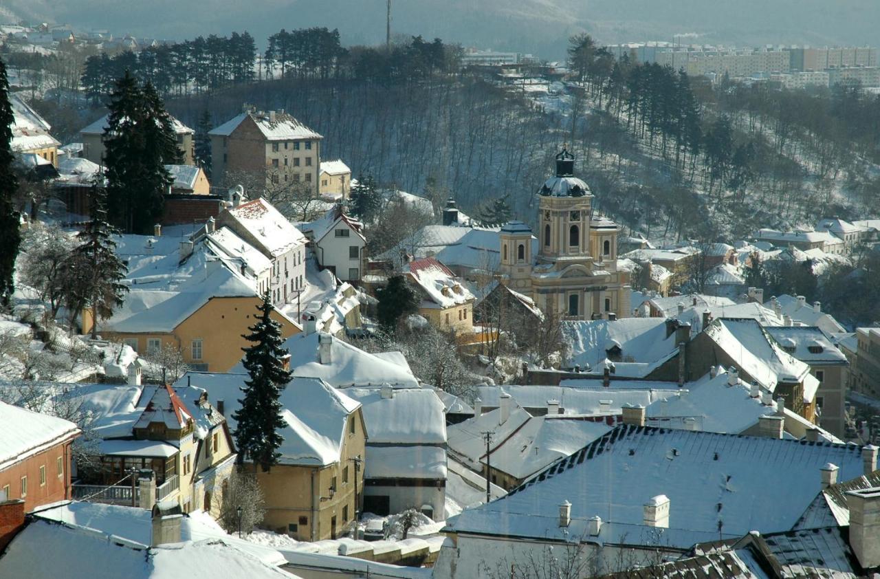 Vila Stiavnica Banska Stiavnica Bagian luar foto